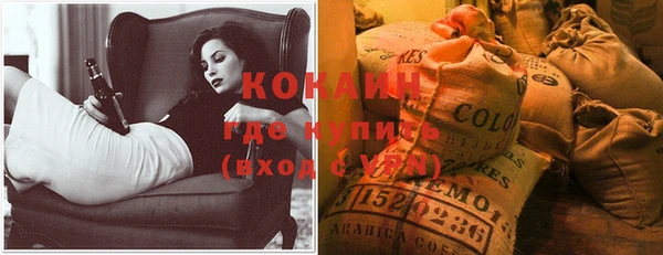 кокс Алзамай