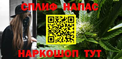 ешки Бийск